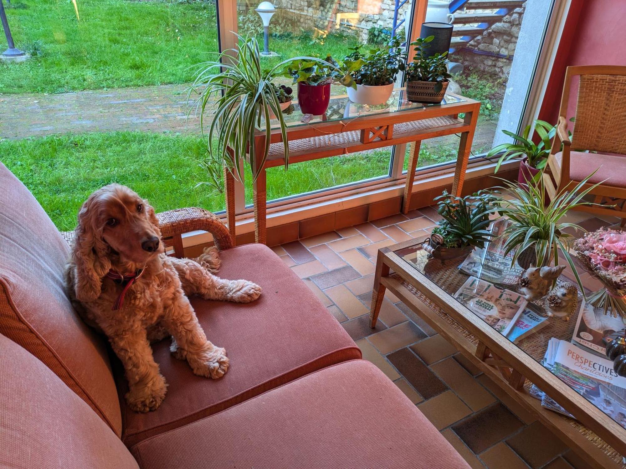 Hotel Le Bon Laboureur La Charite-sur-Loire Luaran gambar